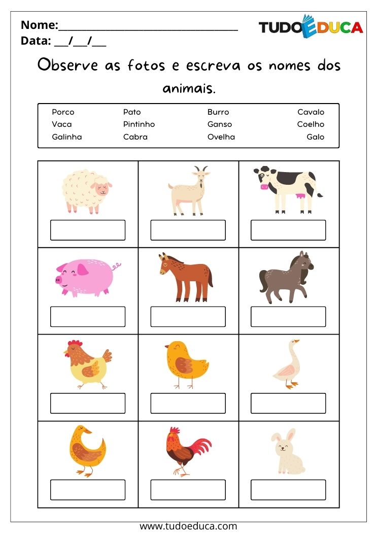 Atividade de português para alunos com deficiência intelectual escreva o nome dos animais para imprimir