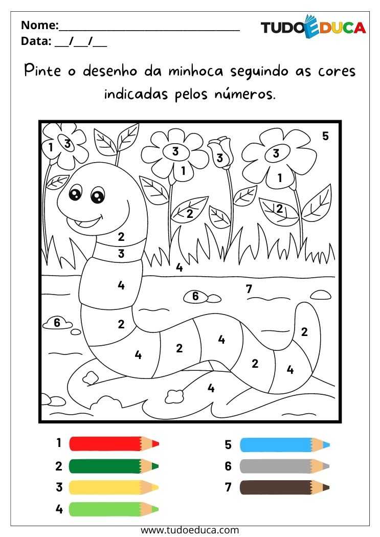 Atividades de matemática para alunos com TDAH pinte a minhoca de acordo com a indicação dos números para Imprimir