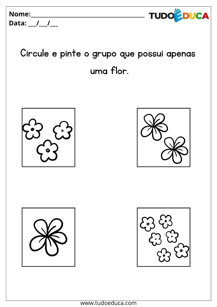 Atividades de matemática para alunos com TDAH pinte o grupo que possui uma flor para imprimir
