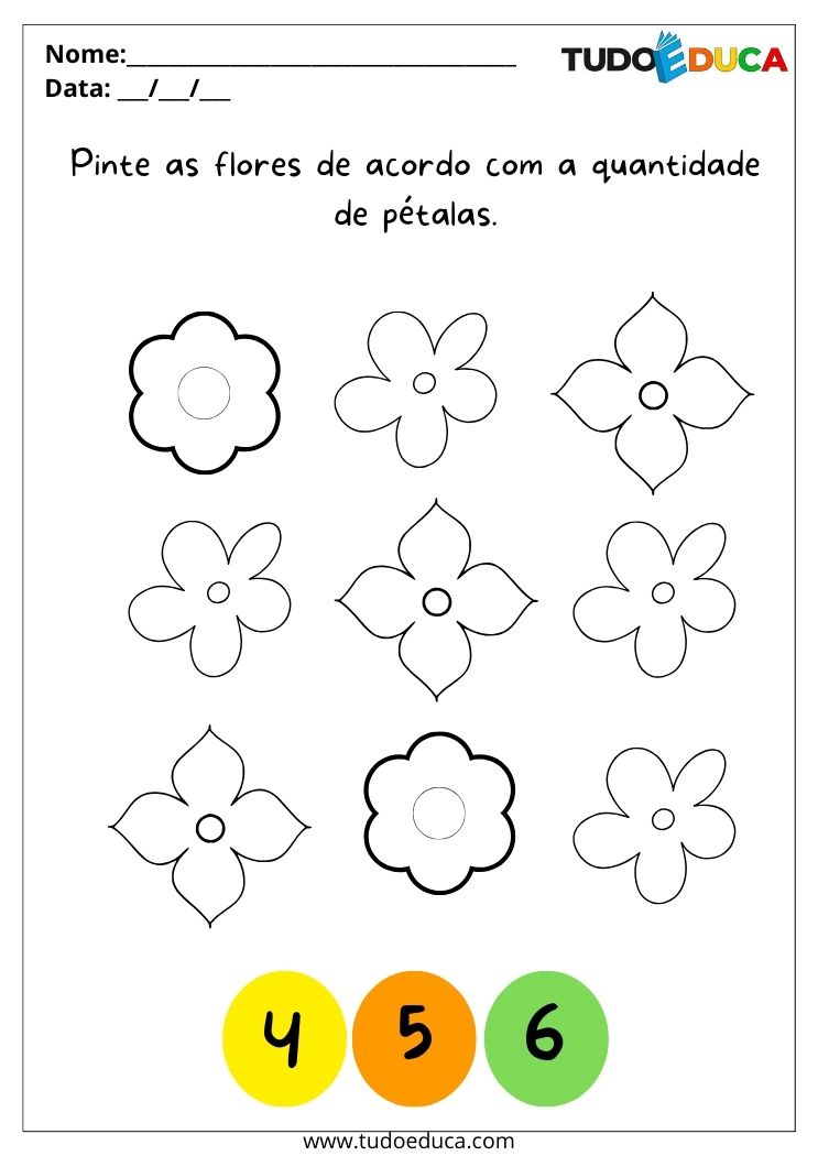 Atividade com Flores para Autistas pinte as flores de acordo com a quantidade de pétalas