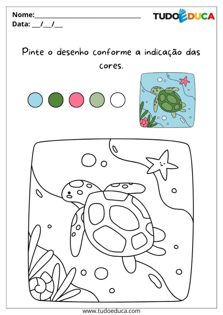 Atividade de Educação Inclusiva para TDAH pinte a tartaruga usando as cores indicadas