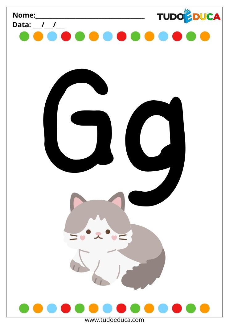 Atividade introdução ao abecedário para autistas letra G de gato