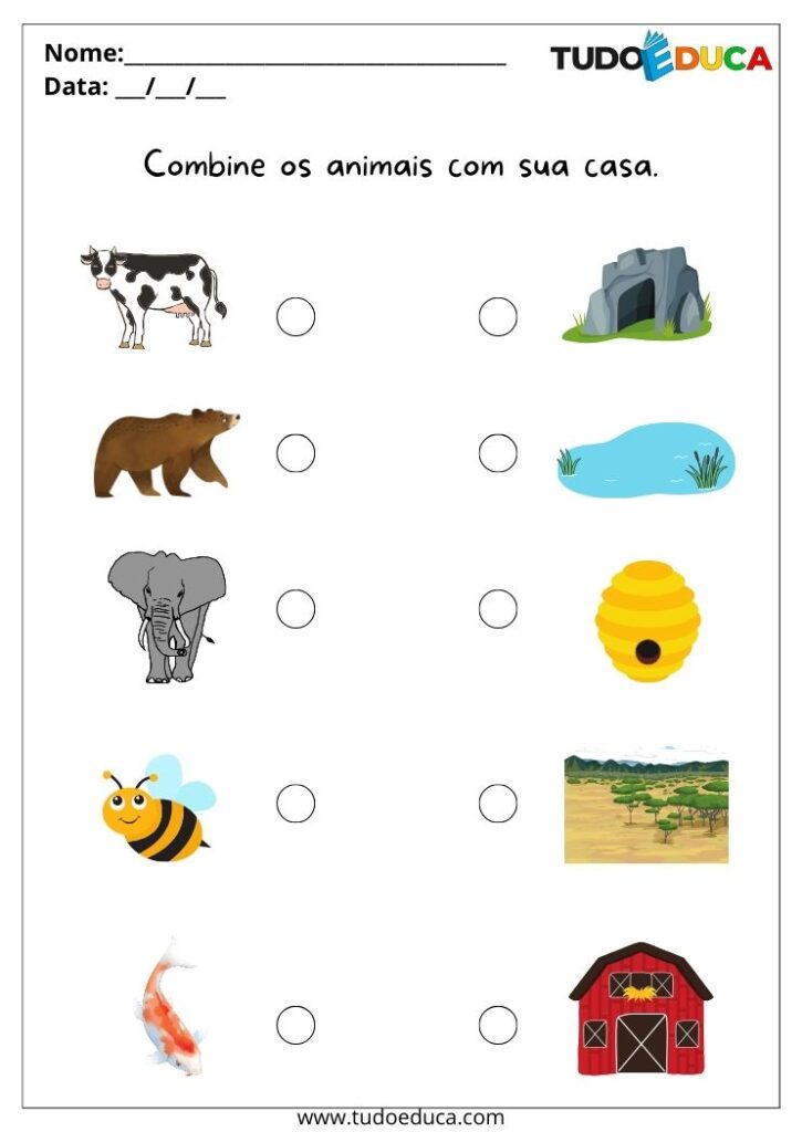 10 Atividades com Animais para Educação Infantil
