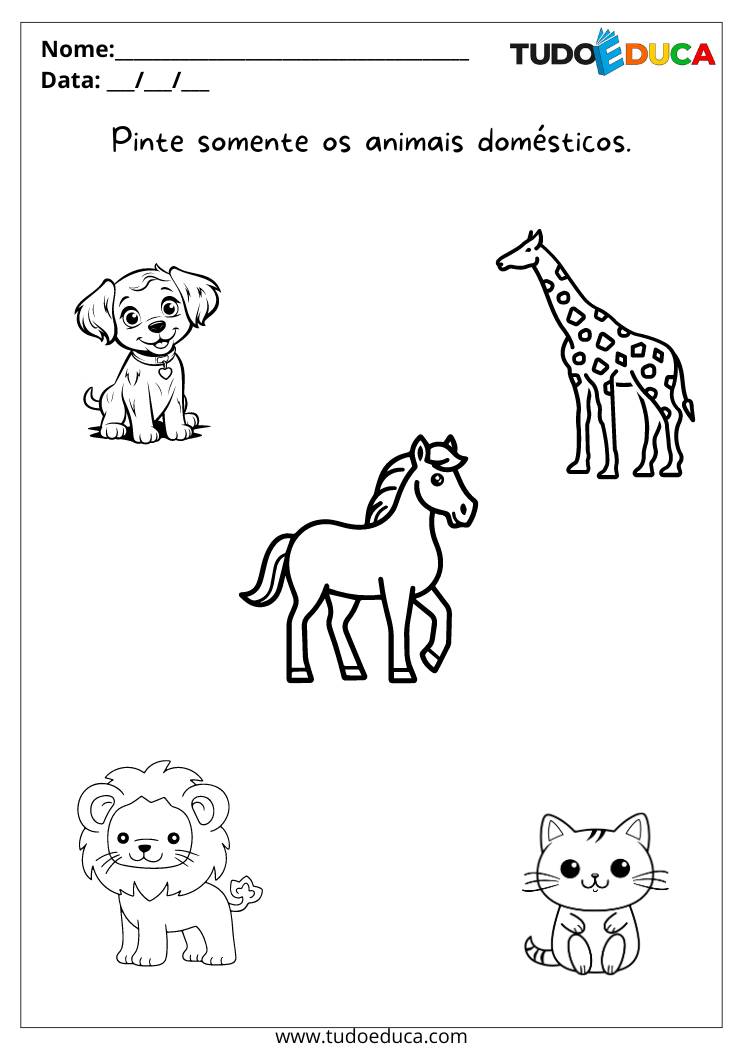 Atividade para maternal com animais para colorir pinte somente os animais domésticos