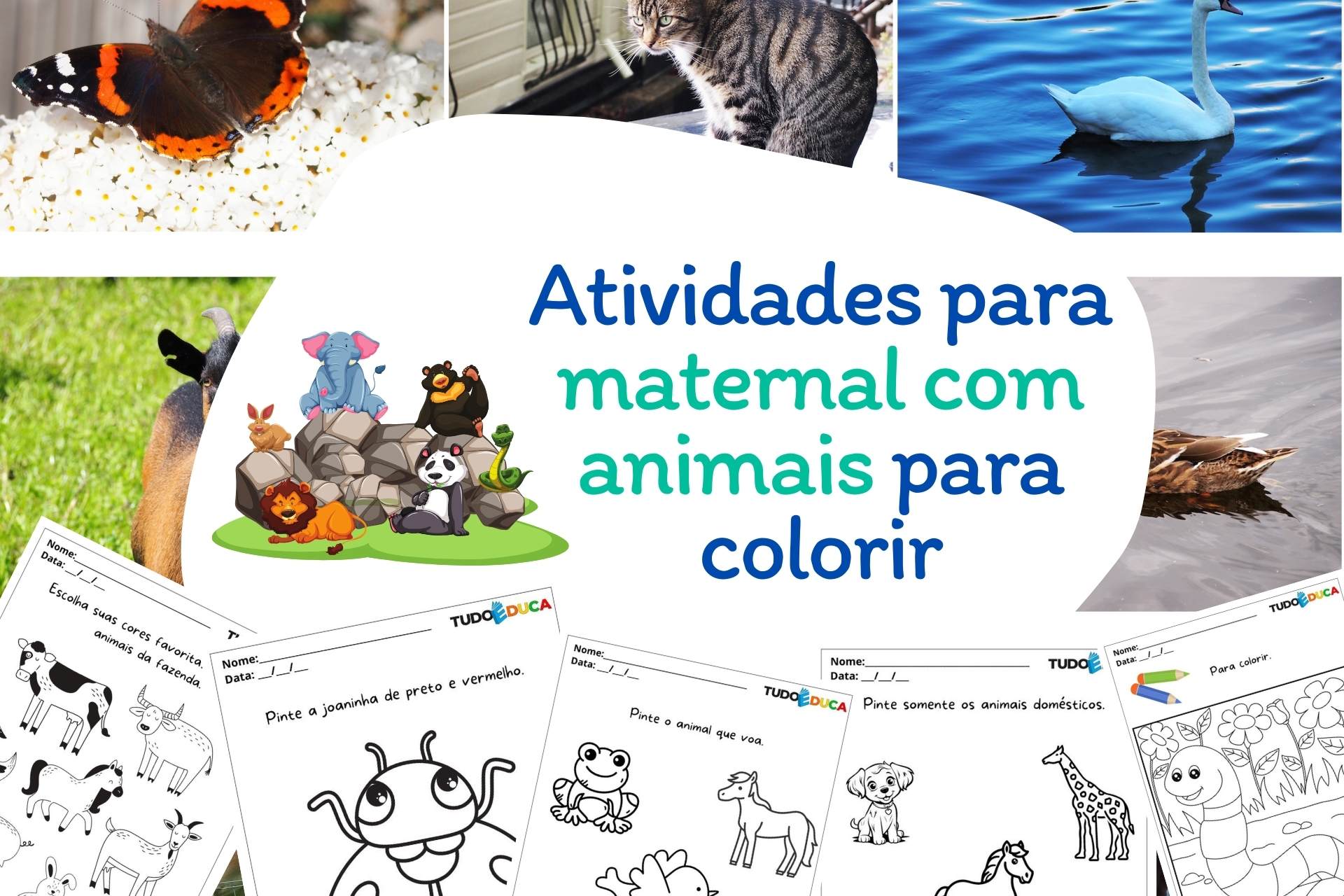 Atividades para maternal com animais para colorir