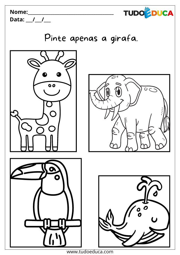 Atividade com Animais para Colorir na Educação Infantil pinte apenas a girafa