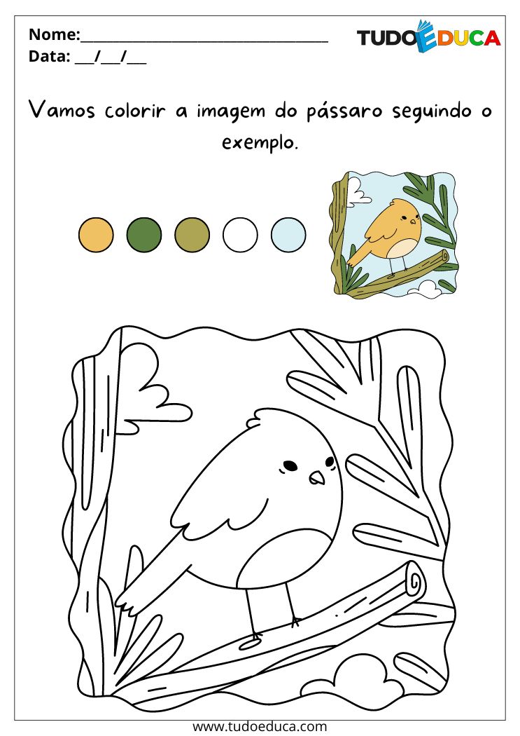 Atividade de Pintura para Educação Infantil para Imprimir vamos colorir o pássaro