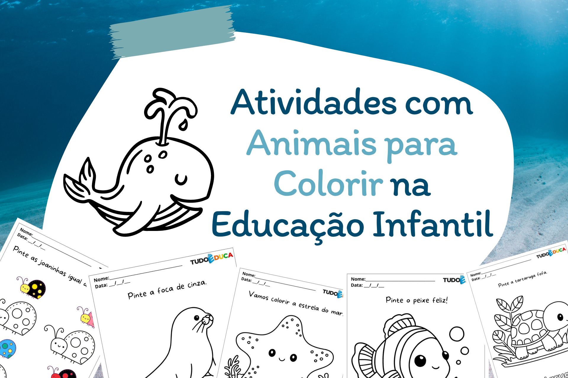 Atividades com Animais para Colorir na Educação Infantil