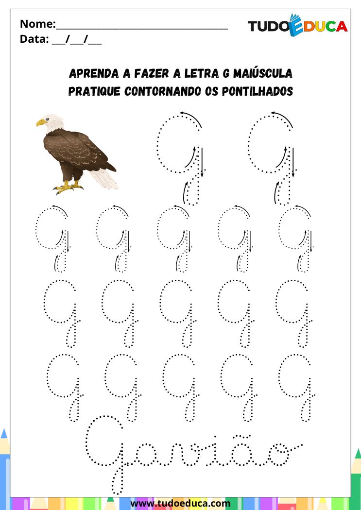 Atividade com a Letra G Cursiva para a Alfabetização pratique o G de gaviao