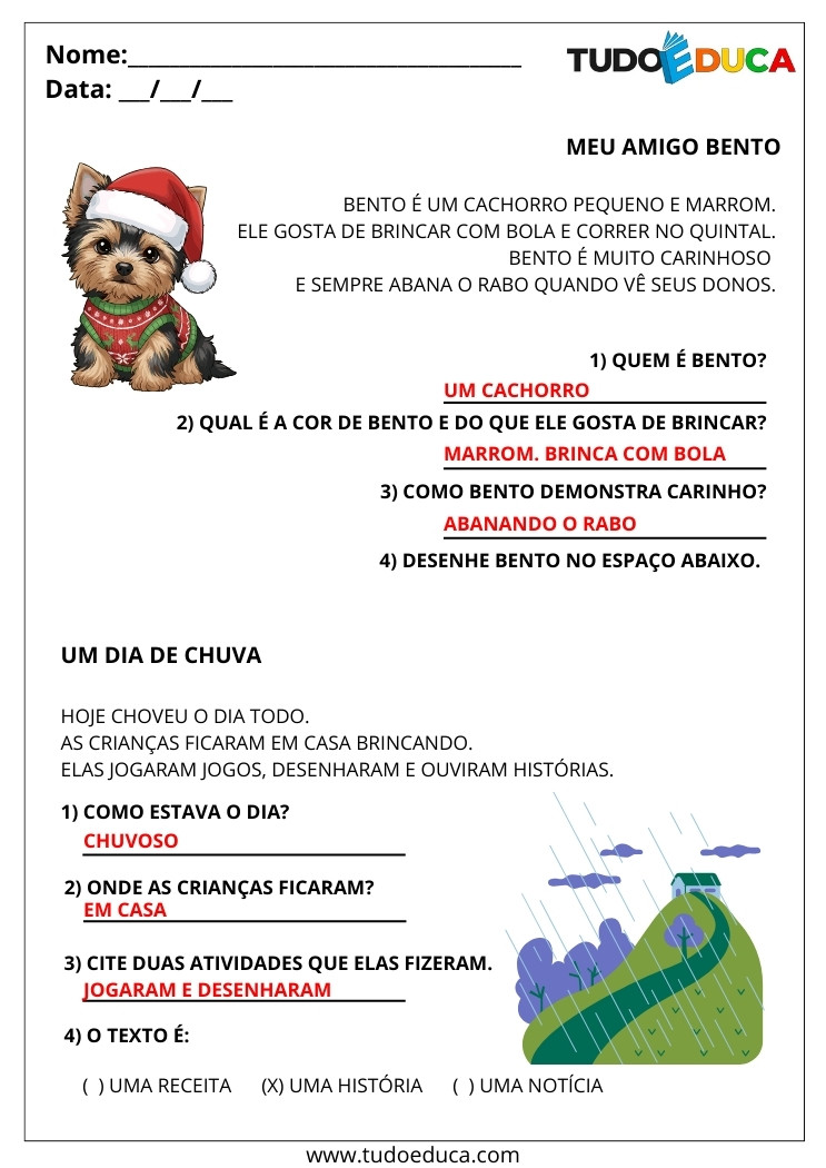 Atividade Português 2 ano leia o texto