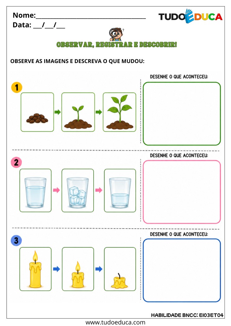 Atividade Inclusiva para Registrar Observações para AEE