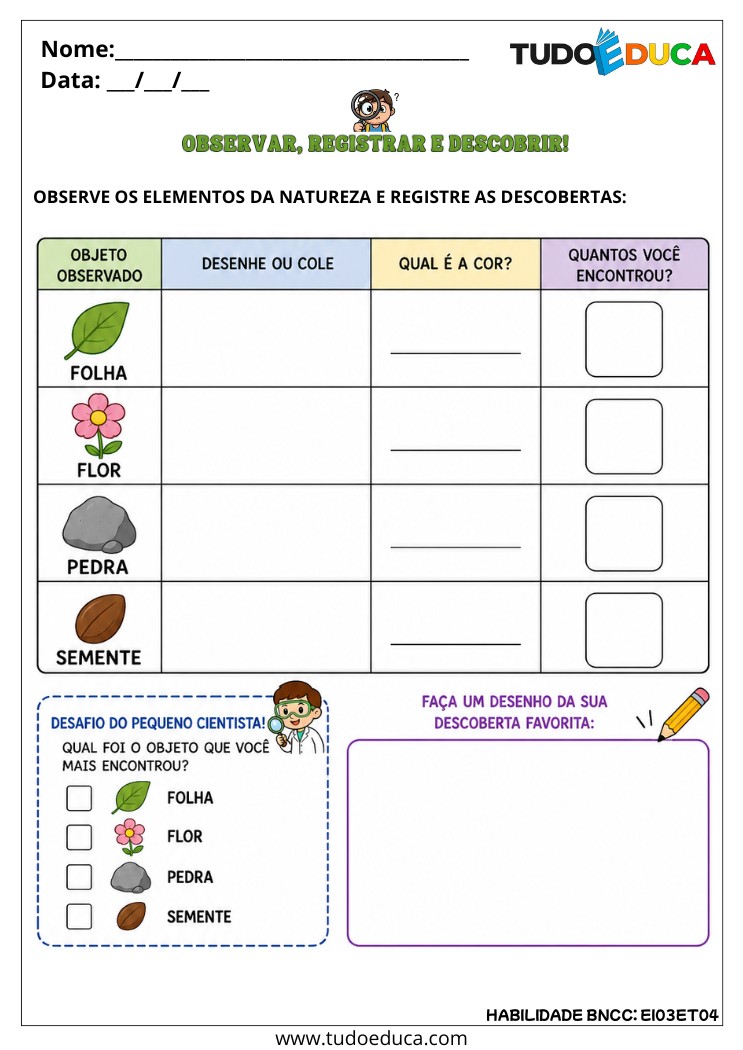 Atividade Inclusiva para Registrar Observações para tea