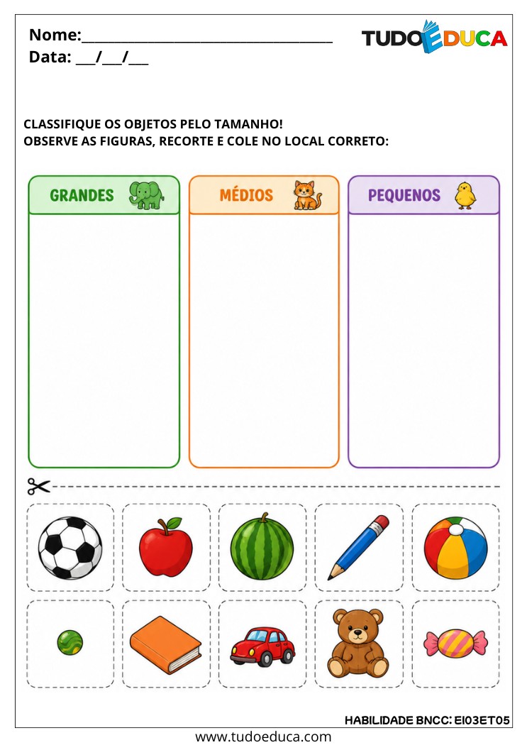 Atividade de Classificação de Objetos e Figuras