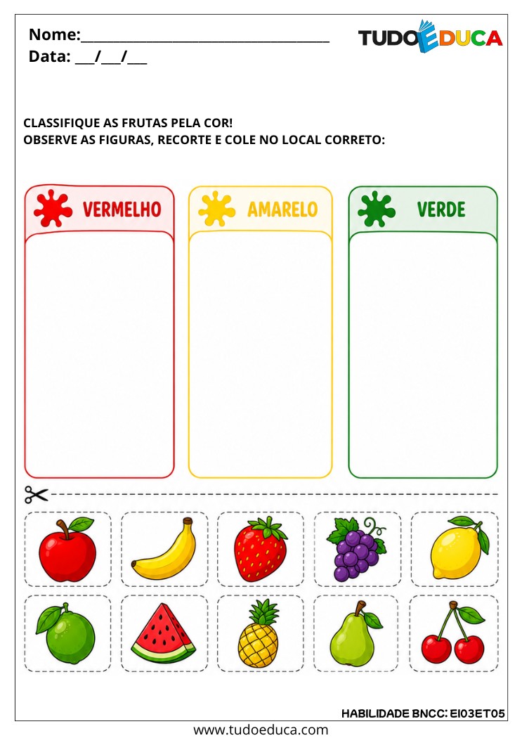 Atividade de Classificação de Objetos