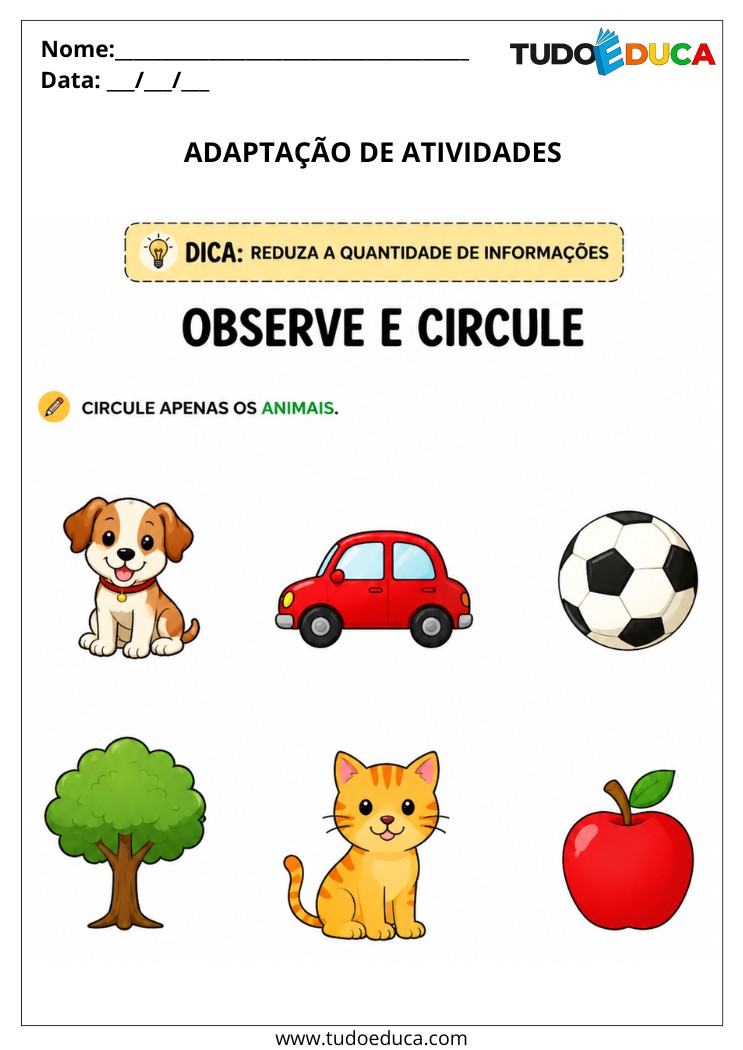 Atividade para Alunos com Deficiência Intelectual
