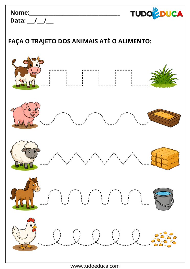 Atividade de tracar as linhas para Alunos com Deficiência Intelectual