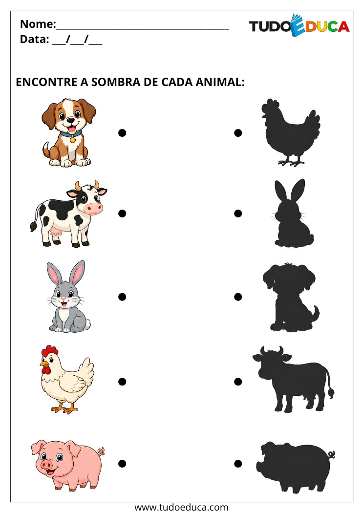 Atividade encontre a sombra dos Animais para Alunos com Autismo