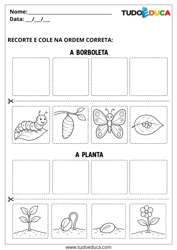 Atividade para TDAH coloque na ordem correta