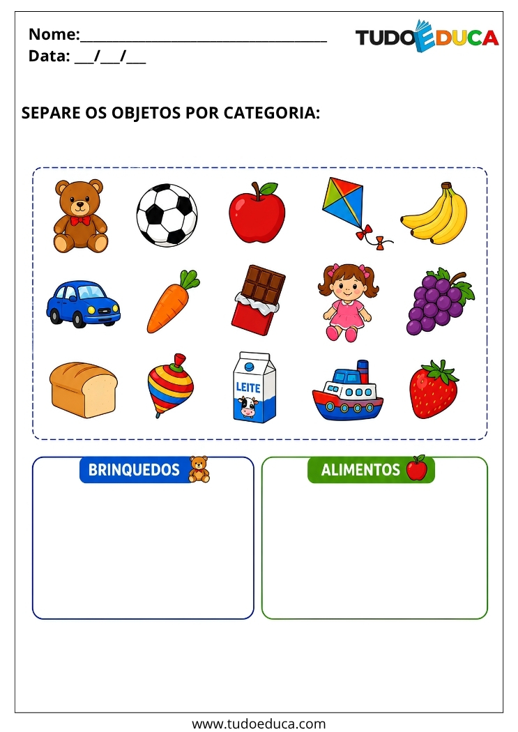Atividade Adaptada para Autismo separe as categorias