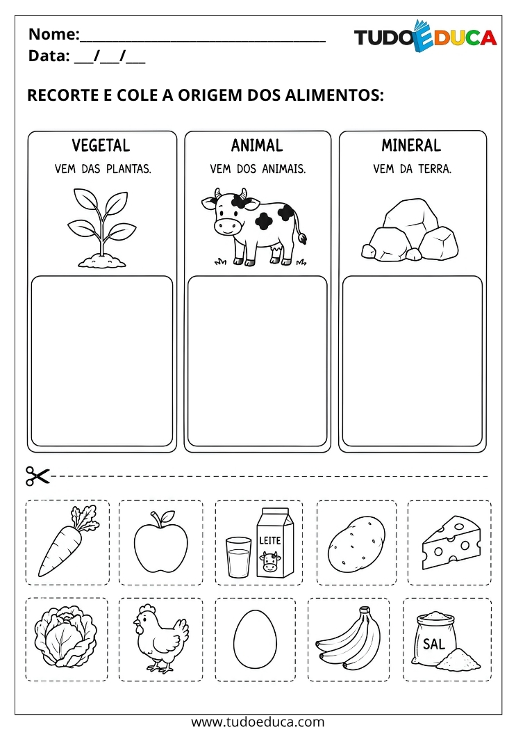 Atividade de Associação de alimentos para Deficiência Intelectual