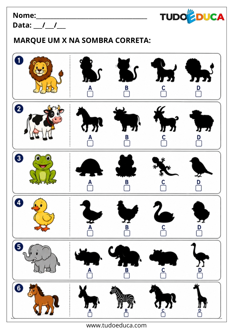 Atividade para Síndrome de Down encontre as sombras corretas