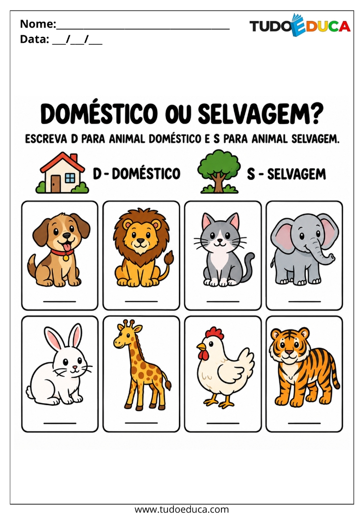 Atividade de Classificação de animais para Deficiência Intelectual