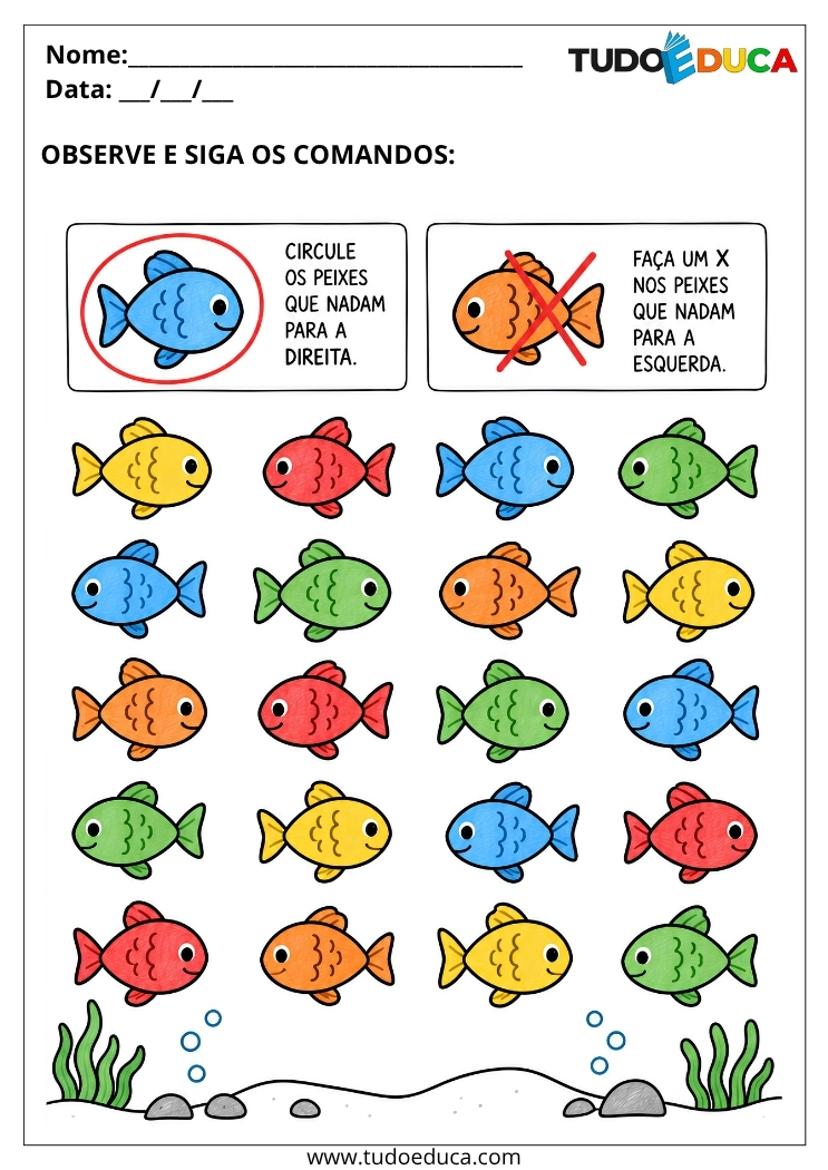 Atividade de Concentração para TDAH
