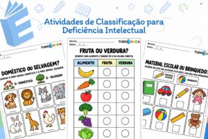Atividades de Classificação para Deficiência Intelectual