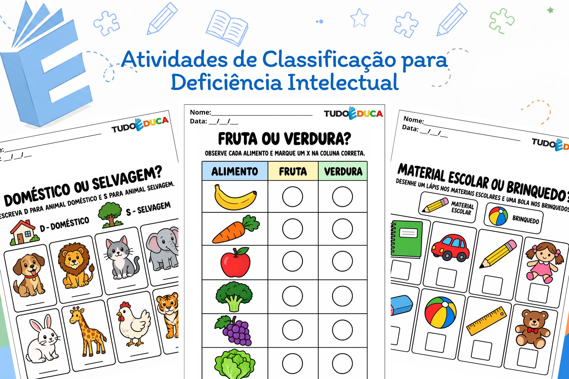 Atividades de Classificação para Deficiência Intelectual