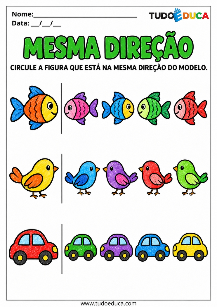 Atividade de Percepção Visual com direção para Autismo