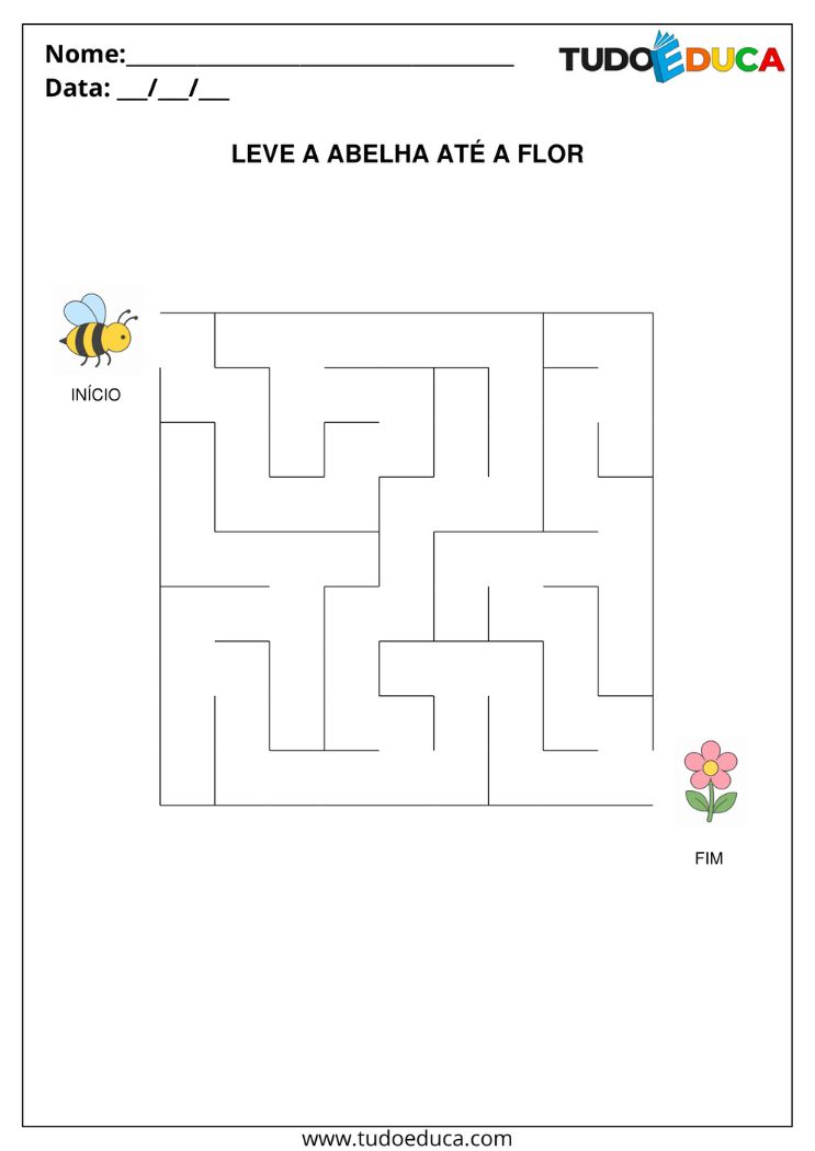 Atividade de Percepção Visual para AEE com labirinto