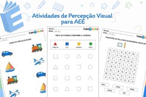 Atividades de Percepção Visual para AEE